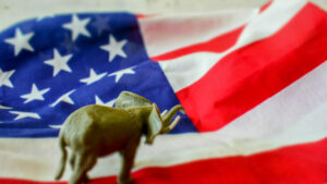 The ALGOP battle to do nothing for you