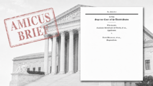 In amicus brief election experts warn Alabama map switch could upend 2026 vote